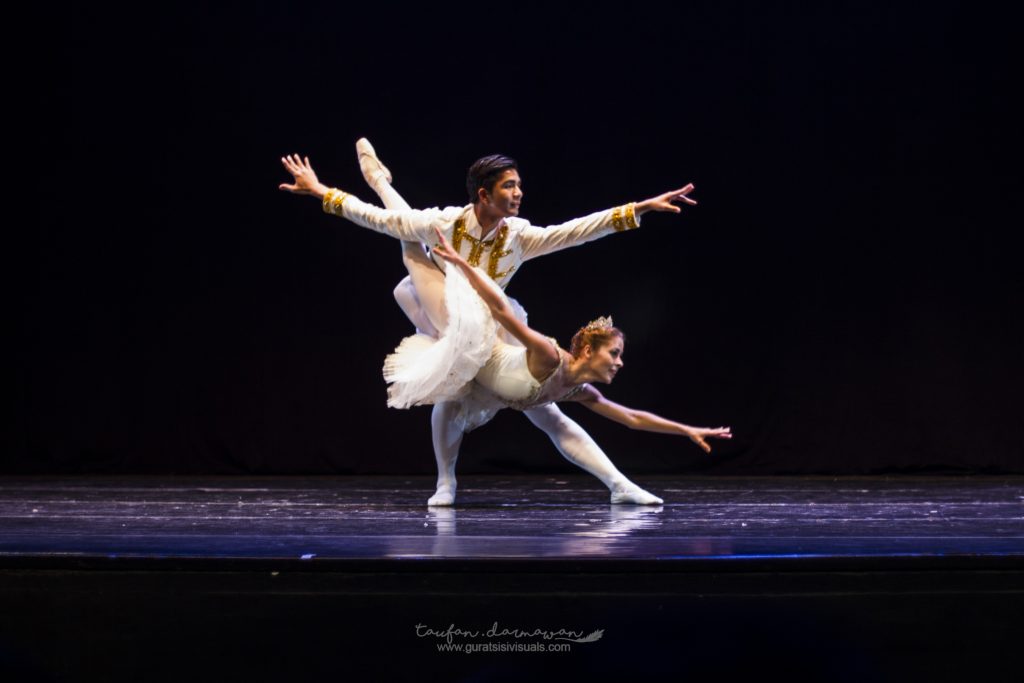 The Sleeping Beauty Ballet 3