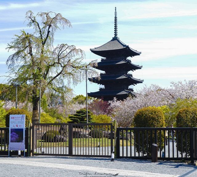 Travel Photography To Ji Temple